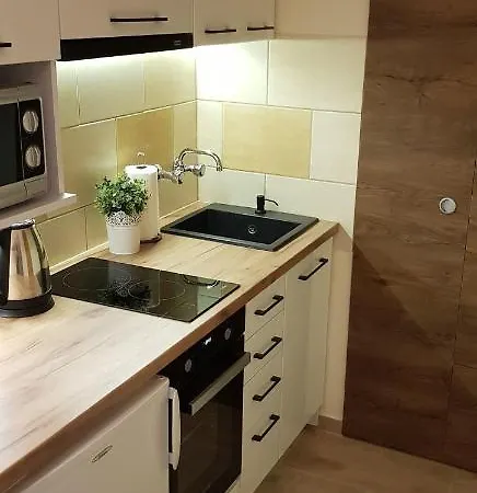 Mieszkanie Jednopokojowe, Ul Dworcowa, Centrum, Parking Gratis!!! * ורוצלב