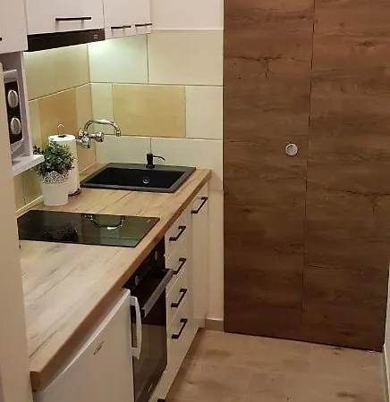 Mieszkanie Jednopokojowe, Ul Dworcowa, Centrum, Parking Gratis!!! ורוצלב