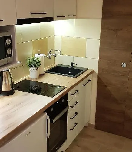 Mieszkanie Jednopokojowe, Ul Dworcowa, Centrum, Parking Gratis!!! * Wrocław